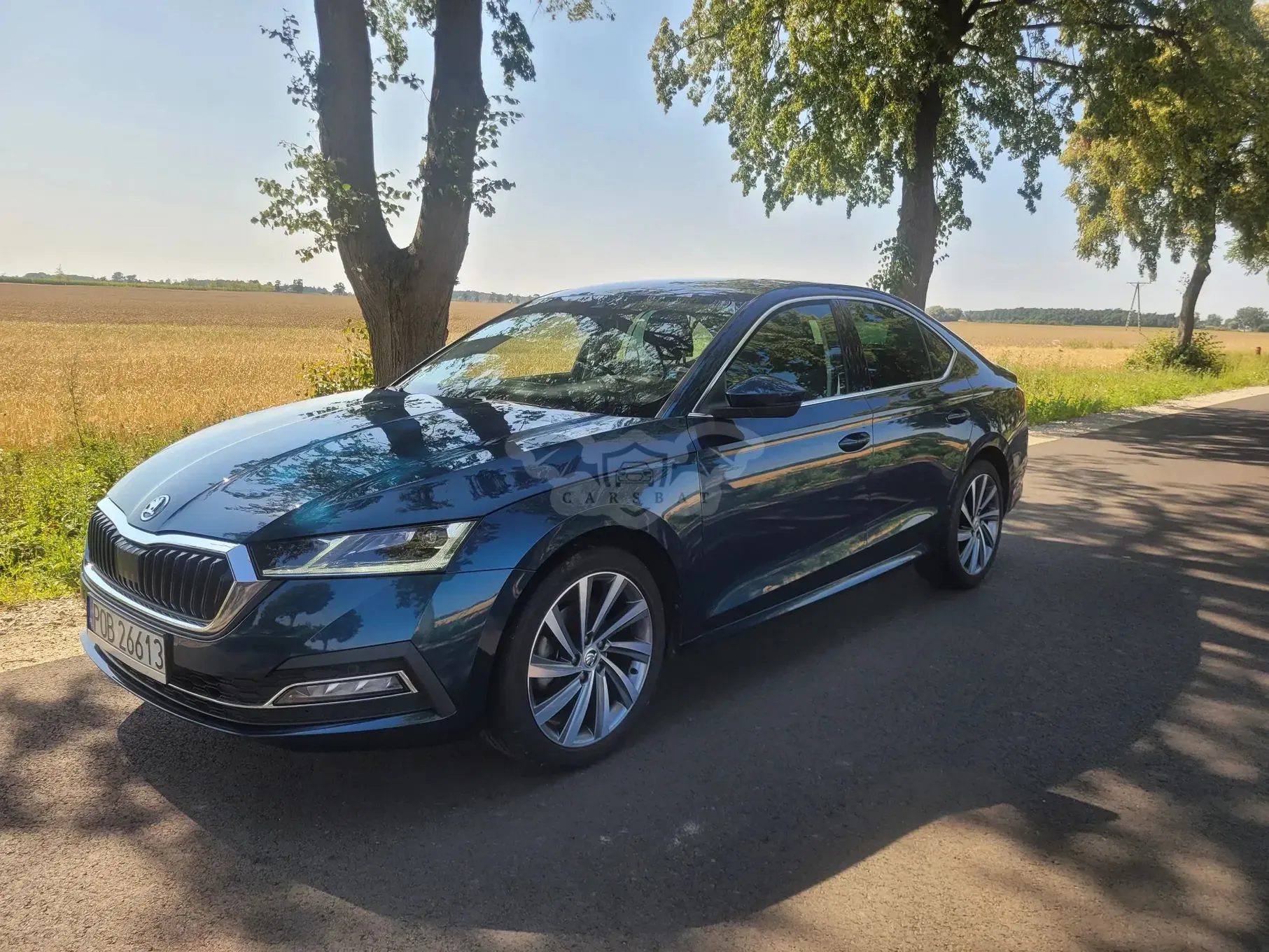 Skoda Octavia IV (2020-) 1.5 TSI GPF ACT Style 2020