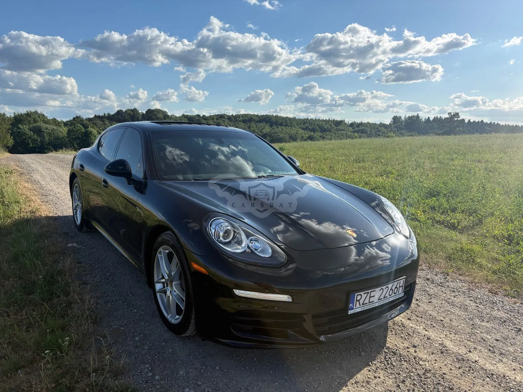 Porsche Panamera Standard 2016