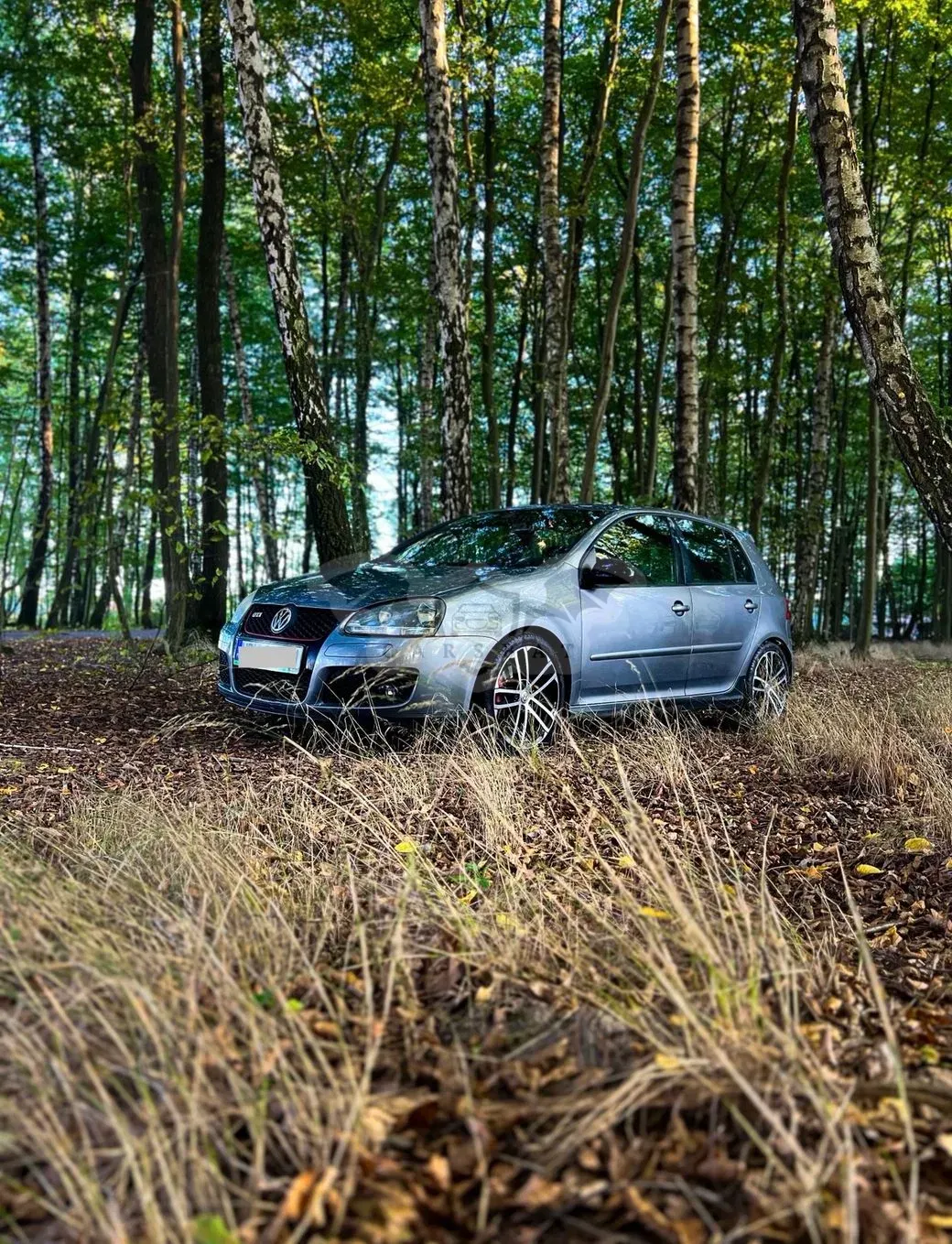 Volkswagen Golf V (2003-2009) 2.0 TSI GTI 2007