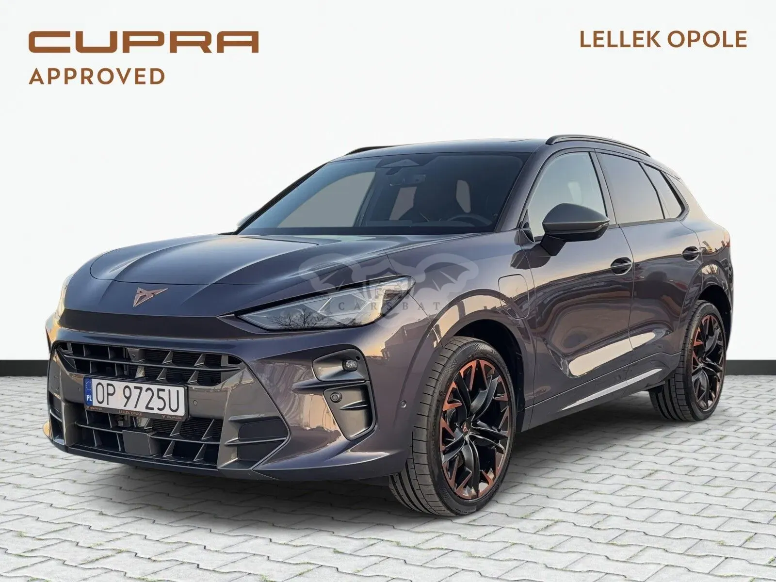 Cupra Terramar 2024