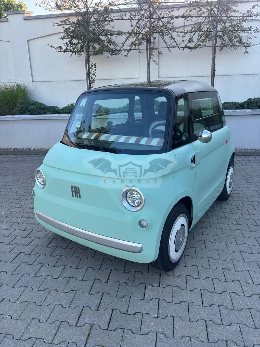 Fiat topolino 2025