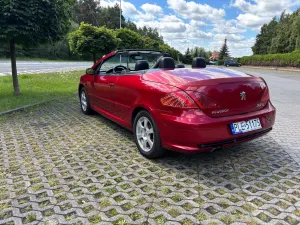 Peugeot 307 I (2001-2005) 2004