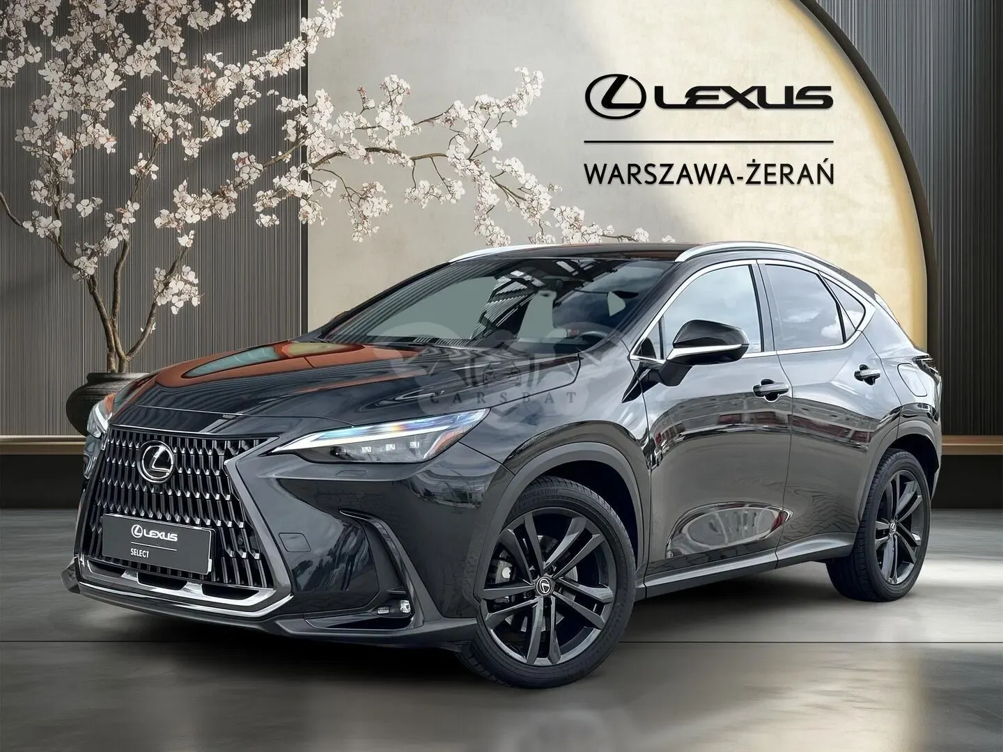 Lexus NX II (2021-) 2022