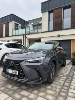 Lexus NX II (2021-) 300 Elegance AWD 2021