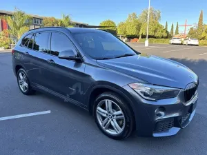BMW X1 F48 (2015-2022) xDrive25i M Sport 2018