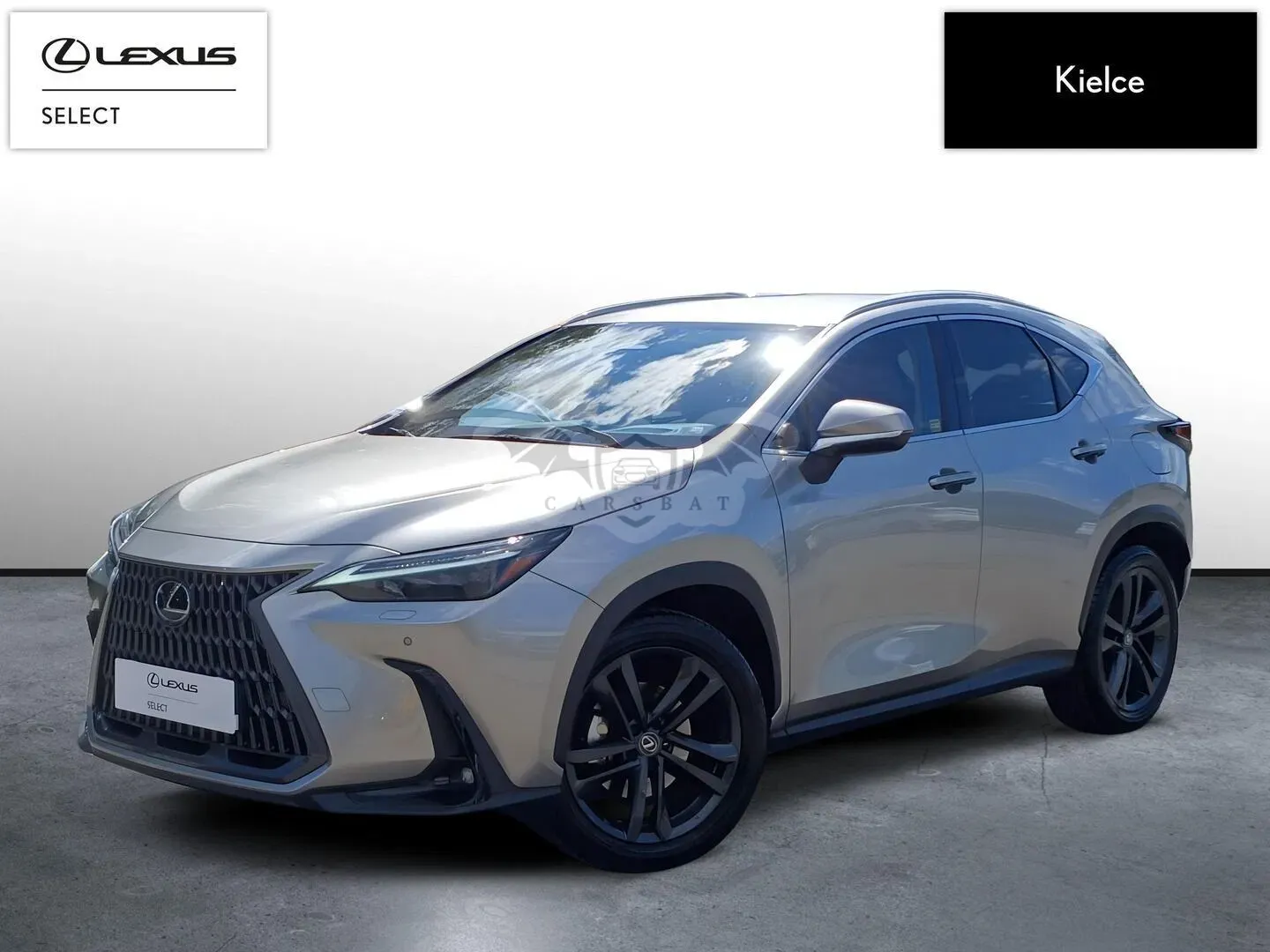Lexus NX II (2021-) 350h Prestige AWD 2024
