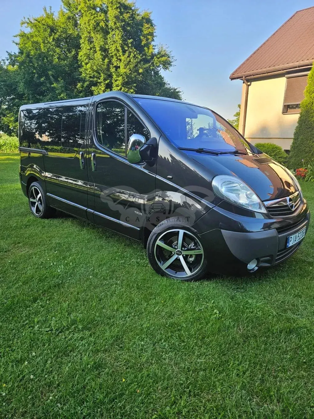 Opel Vivaro I (2001-2014) 2009