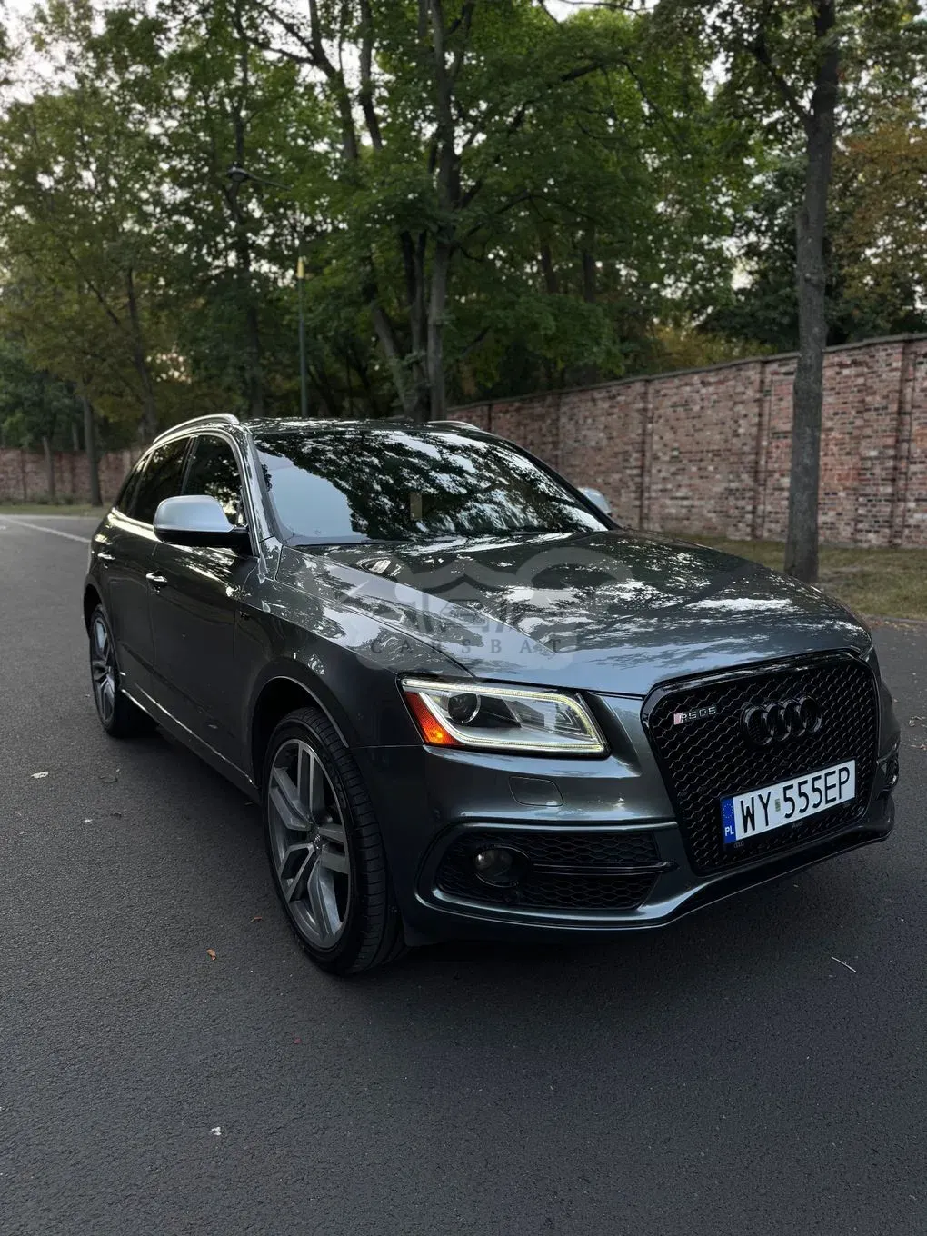 Audi SQ5 3.0 TFSI Quattro Tiptronic 2017