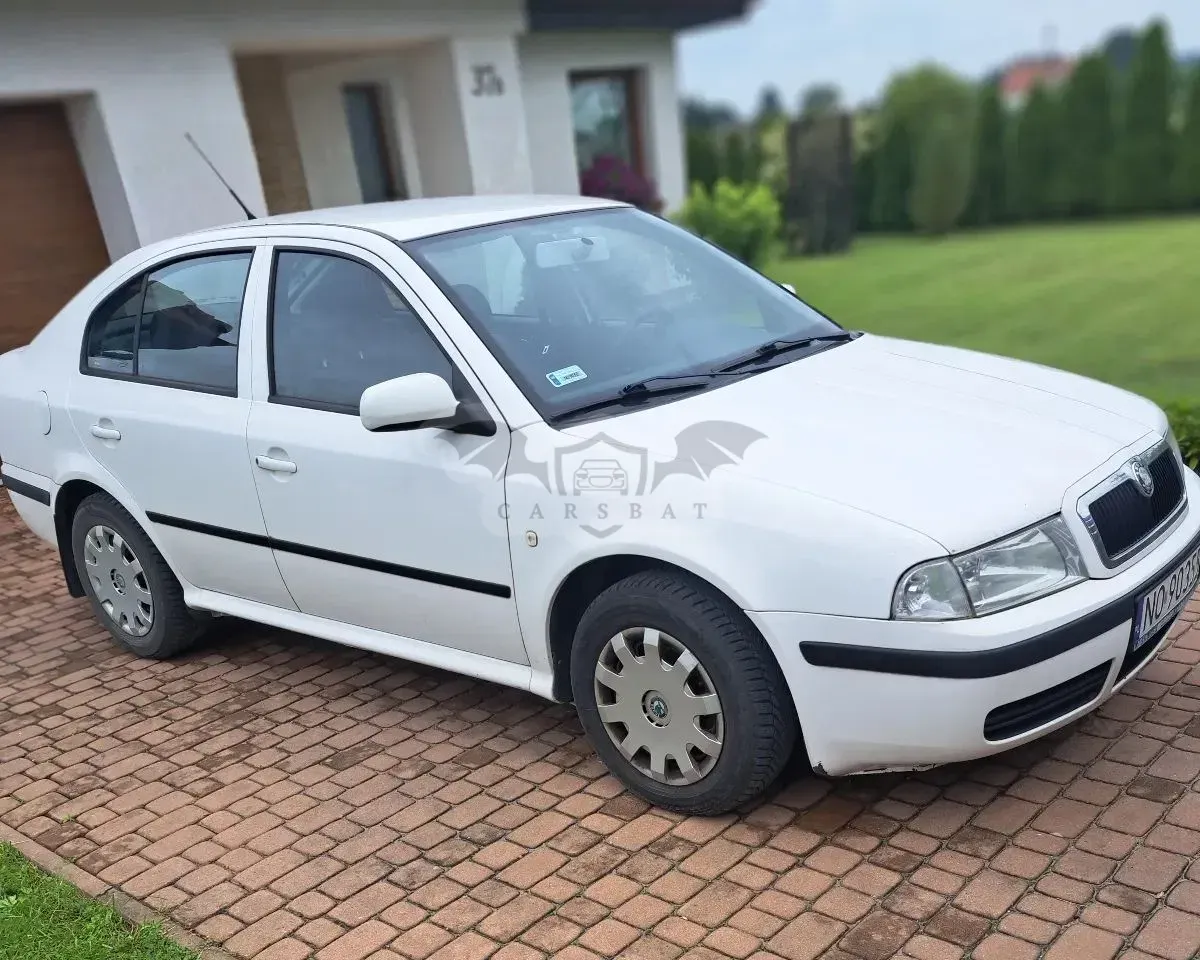 Skoda Octavia I (1996-2011) 1.9 TDI Ice 2003