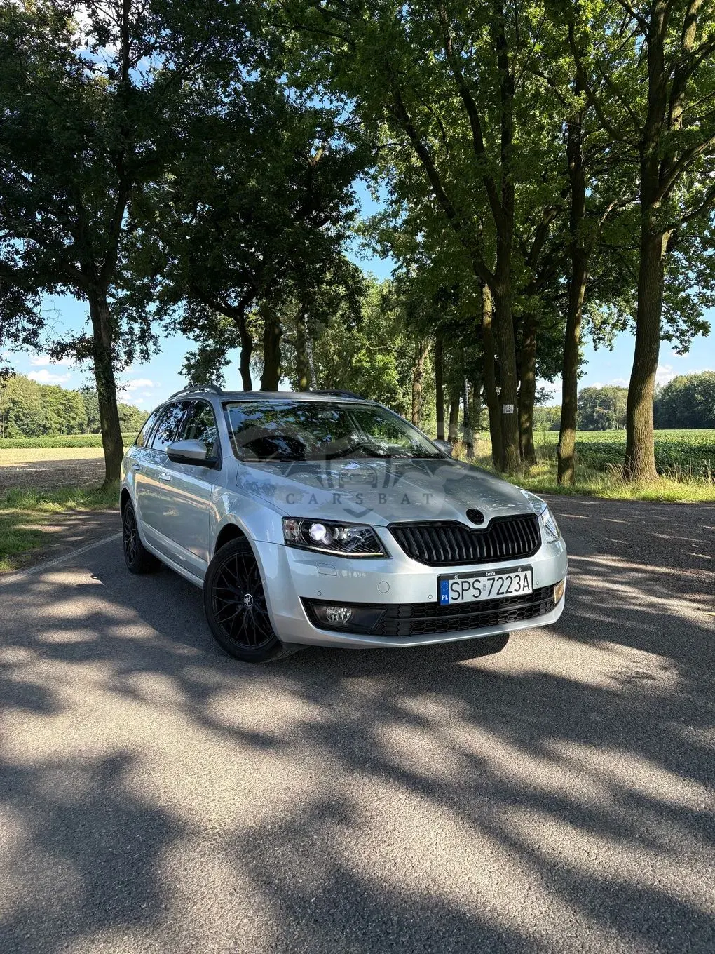 Skoda Octavia III (2013-) 1.8 TSI (Green tec) 4x4 DSG Ambition 2013