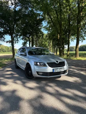 Skoda Octavia III (2013-) 1.8 TSI (Green tec) 4x4 DSG Ambition 2013