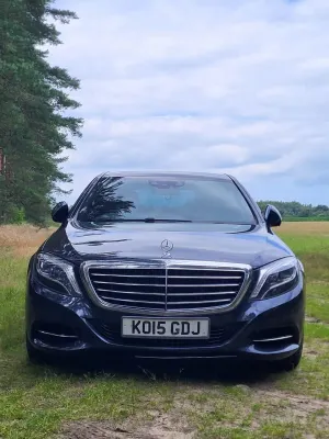 Mercedes-Benz S W222 (2013-2020) 350 (BlueTEC) d L 7G-TRONIC 2015