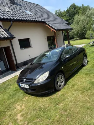 Peugeot 307 I (2001-2005) 2004