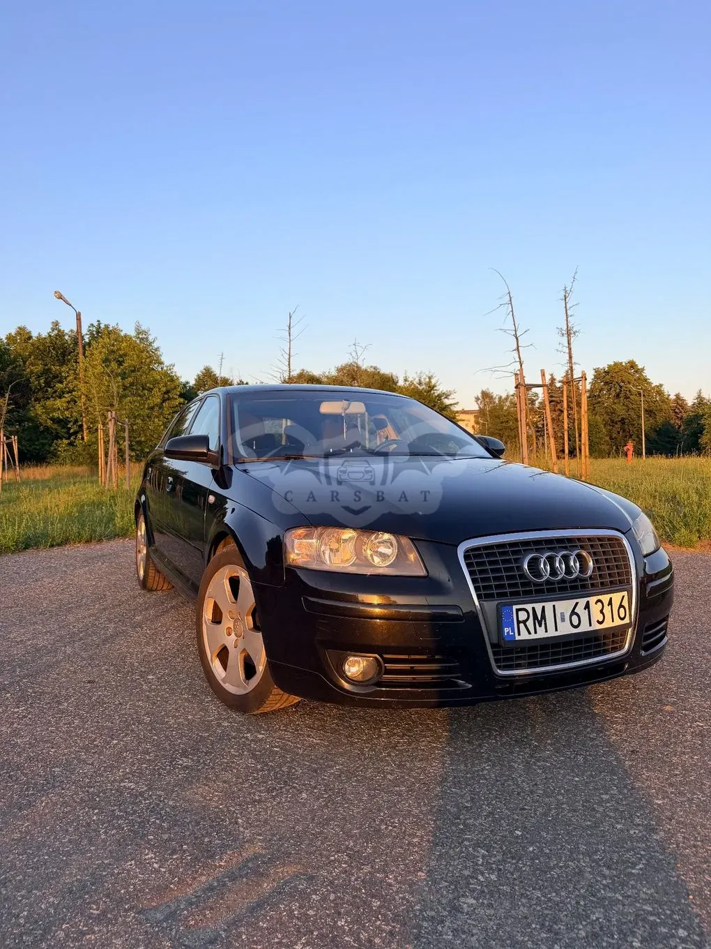 Audi A3 8P (2003-2012) 2.0 TDI Ambiente 2007