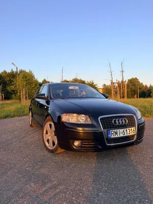 Audi A3 8P (2003-2012) 2.0 TDI Ambiente 2007