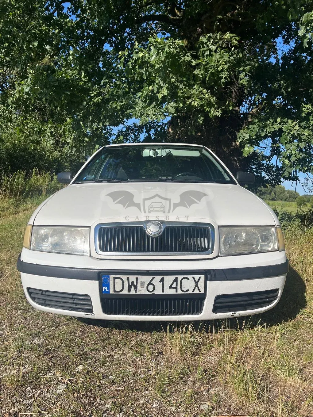 Skoda Octavia I (1996-2011) 1.9 TDI Elegance 2003