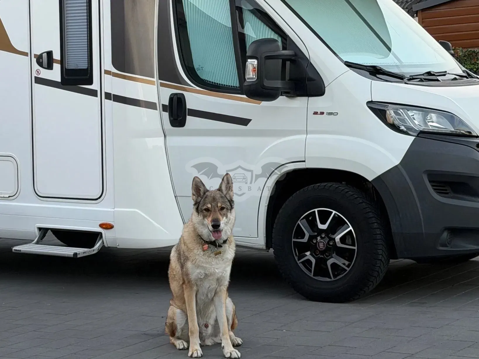 Eura mobil Activia one 570 hs 2019