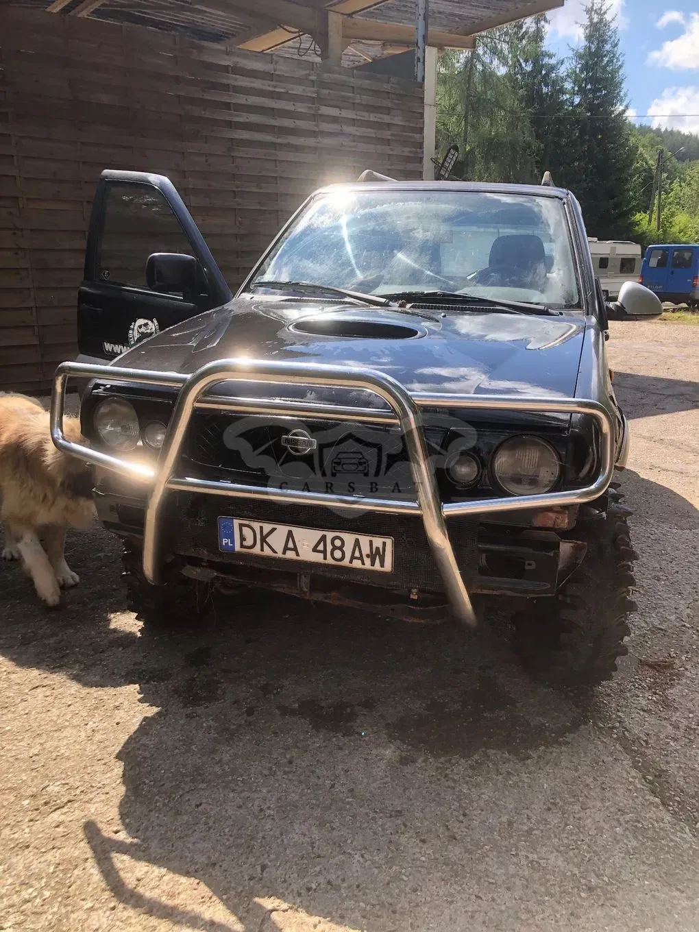 Nissan Terrano II (1995-) 1996