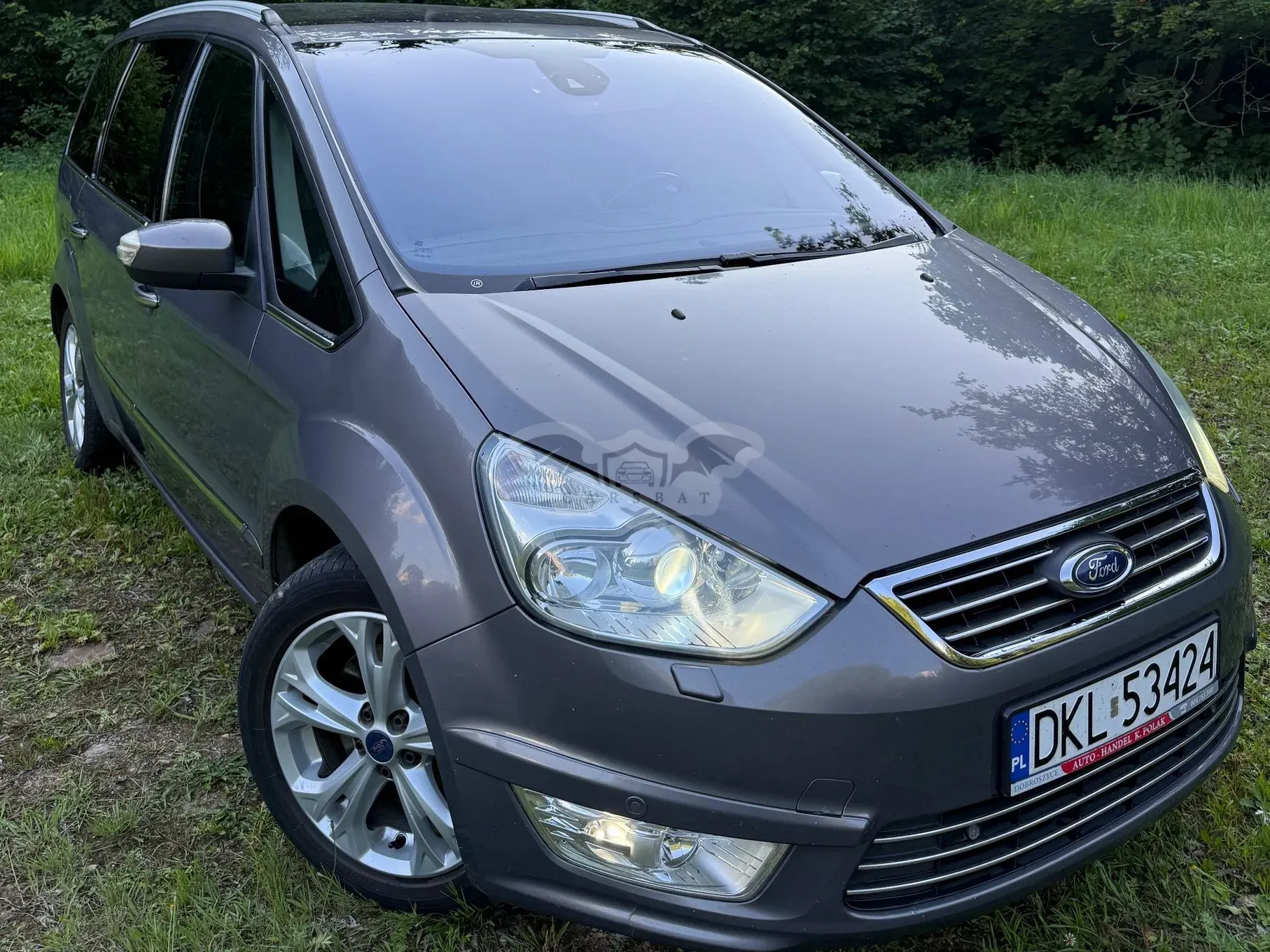 Ford Galaxy Mk3 (2006-2015) 2.0 TDCi Ghia 2013