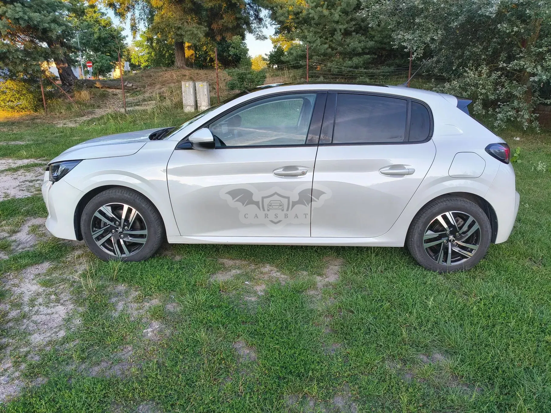 Peugeot 208 II (2019-) 1.2 PureTech Allure S&S 2020