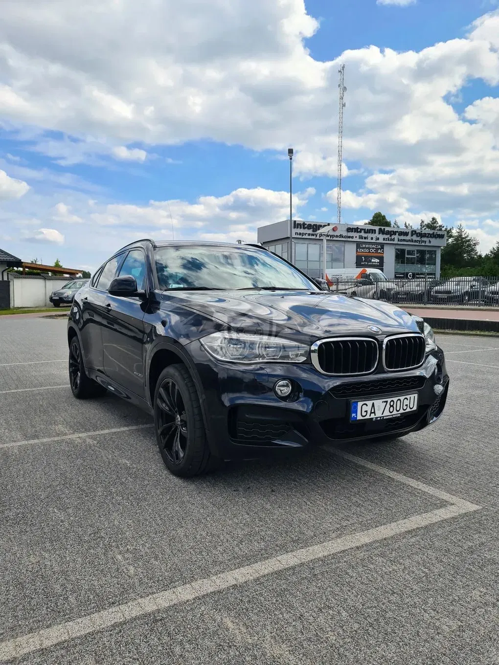 BMW X6 F16 (2014-) xDrive30d 2019