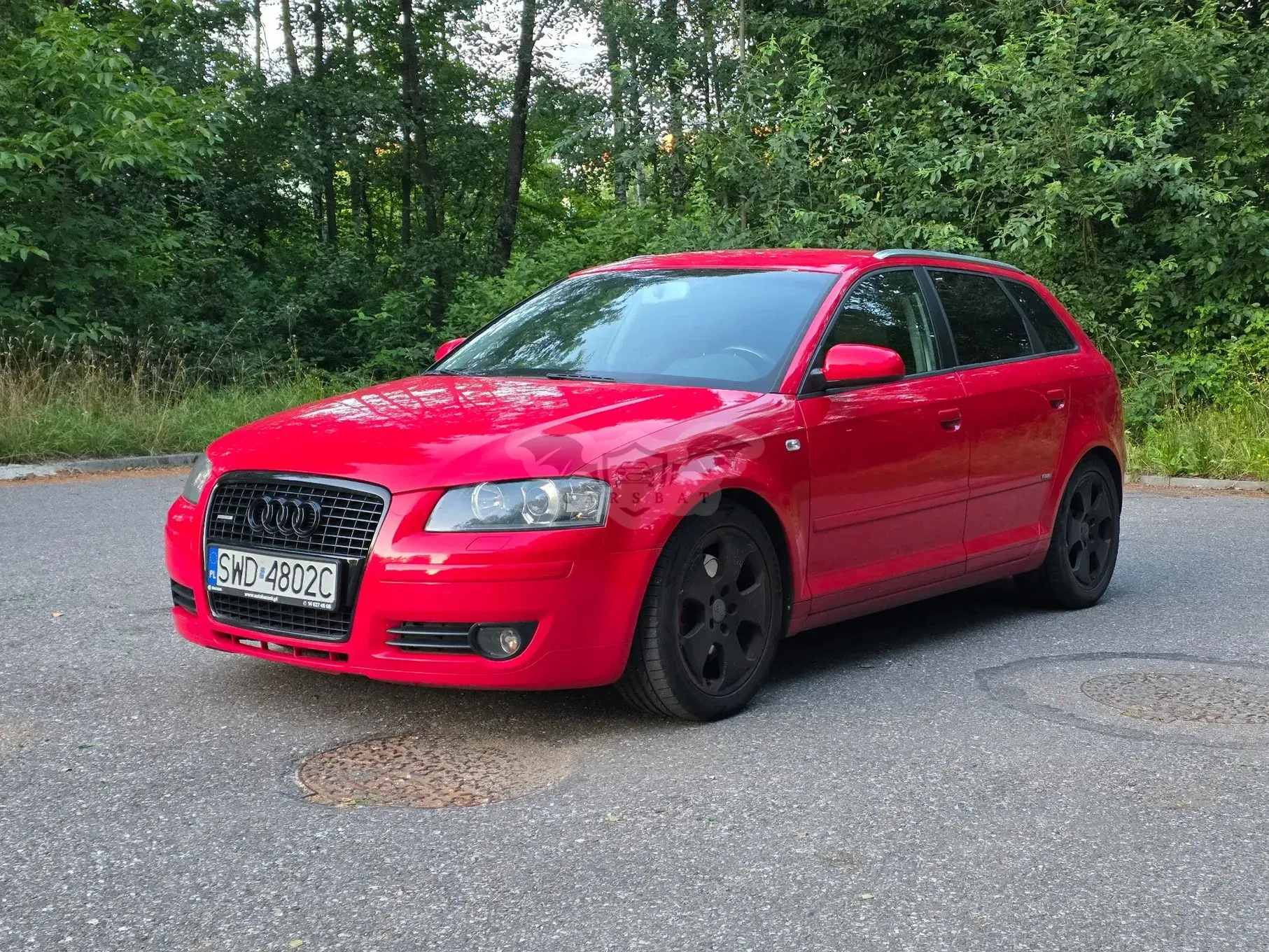 Audi A3 8P (2003-2012) 2.0 TFSI quattro S line Sportpaket plus 2004