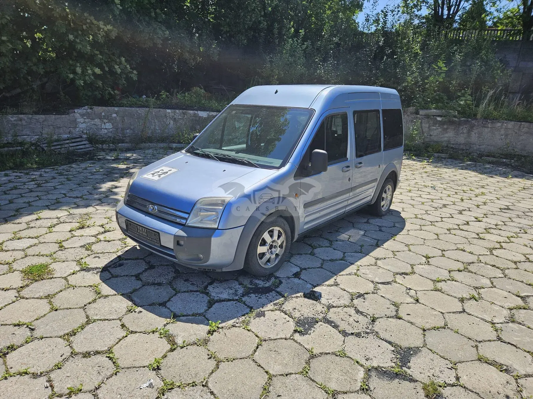 Ford Tourneo Connect I (2002-2013) 2006