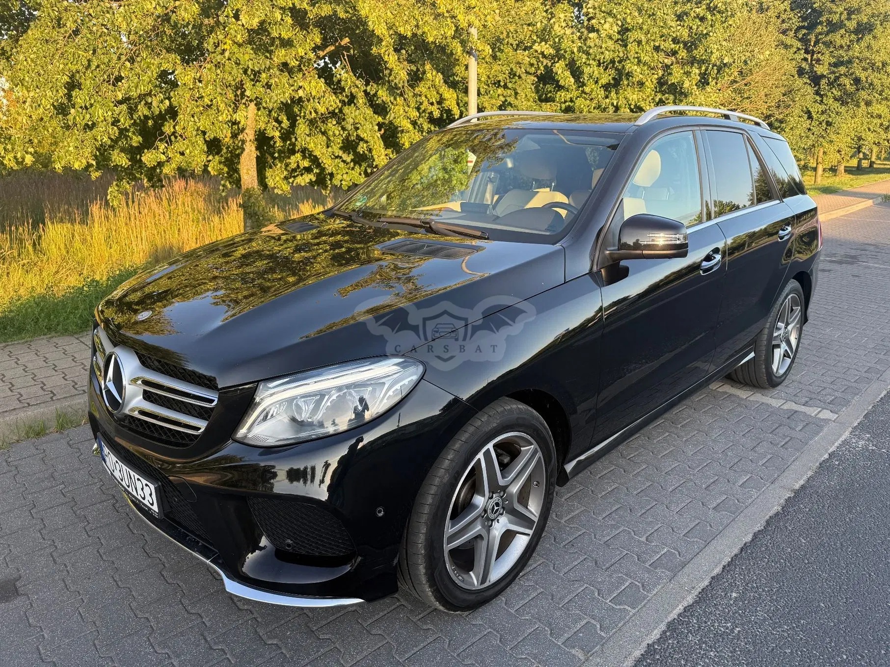 Mercedes-Benz GLE W166 (2015-2019) 350 d 4-Matic 2015