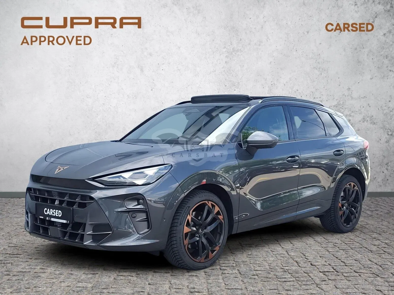 Cupra Terramar 2.0 TSI 4Drive VZ DSG 2025
