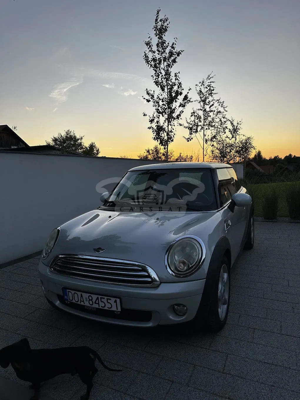 Mini Cooper 50 Camden 2010