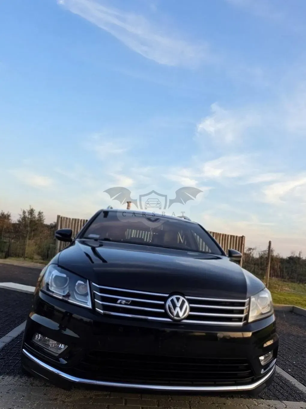 Volkswagen Passat B7 (2010-2014) 2013