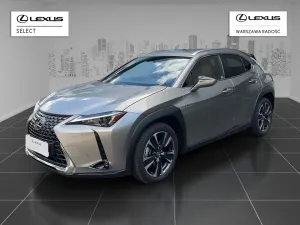 Lexus UX 300h Business 2025