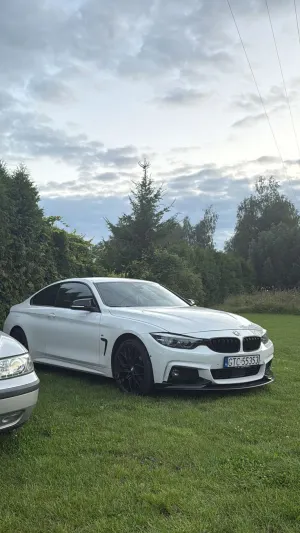 BMW 4 Series I F32/F33/F82 (2013-2020) 420d xDrive M Sport 2019
