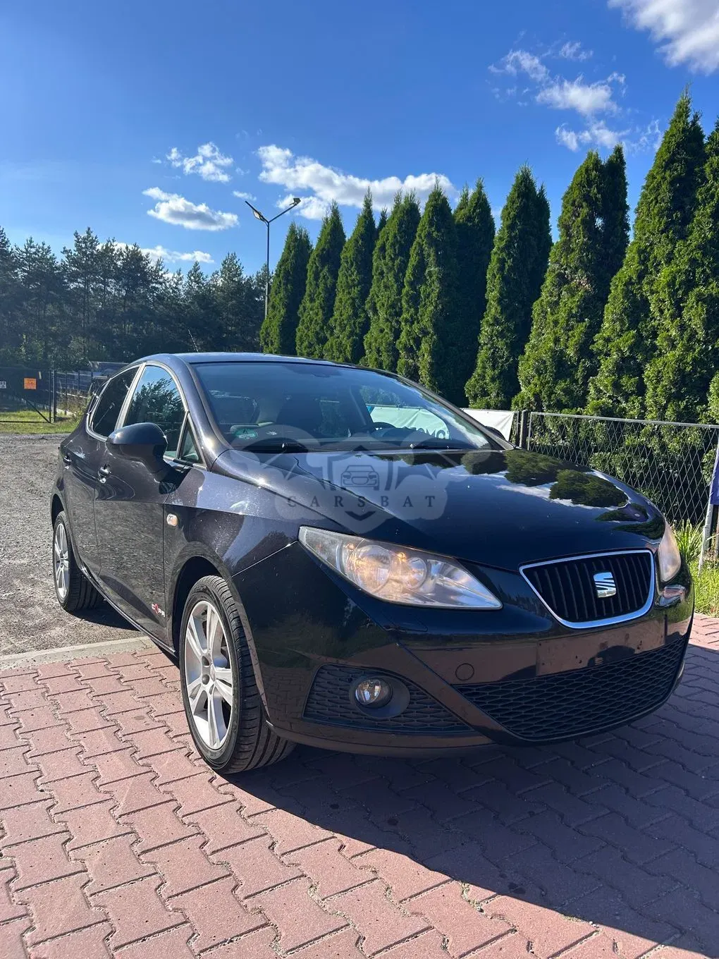 Seat Ibiza IV (2008-2017) 2011