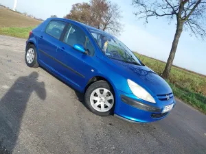 Peugeot 307 I (2001-2005) 1.6 2002