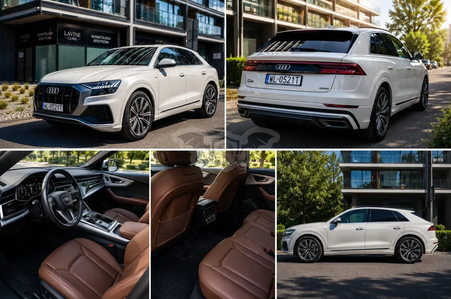 Audi Q8 45 TDI mHEV Quattro Tiptronic 2021