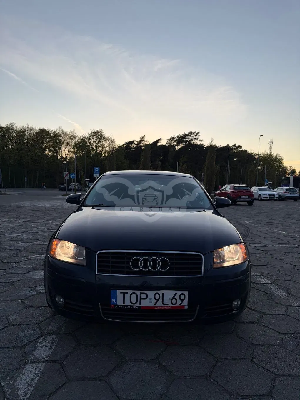 Audi A3 8P (2003-2012) 2004