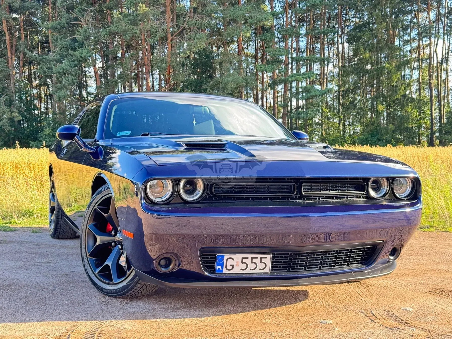 Dodge Challenger Automatik SXT Plus 2015