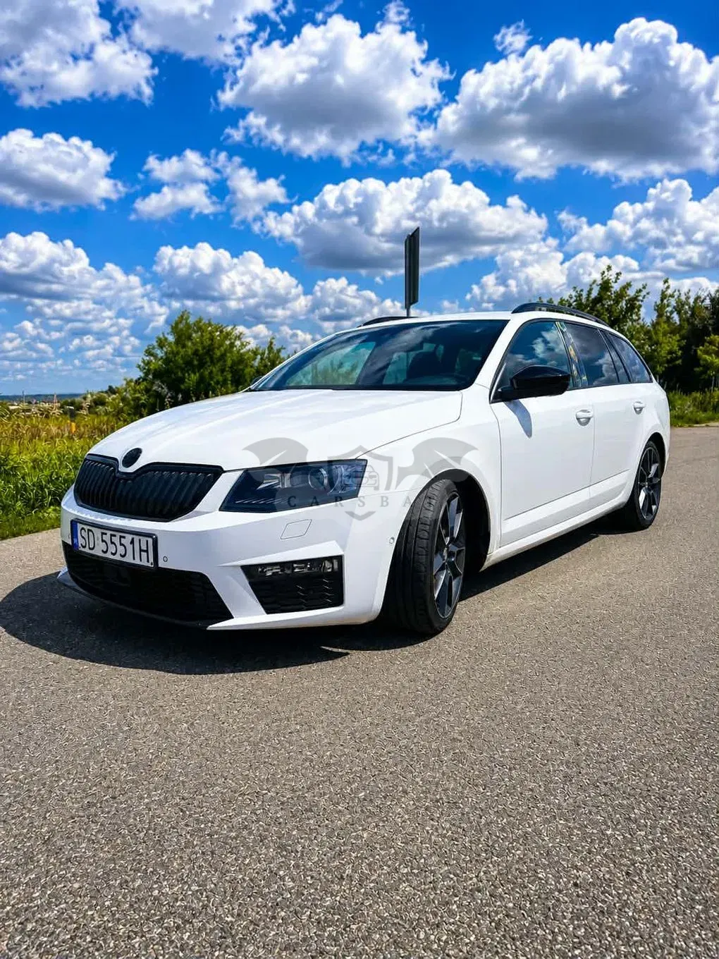 Skoda Octavia III (2013-) 2.0 TDI RS DSG 2014