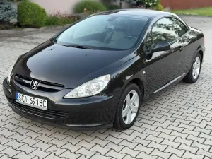 Peugeot 307 2004