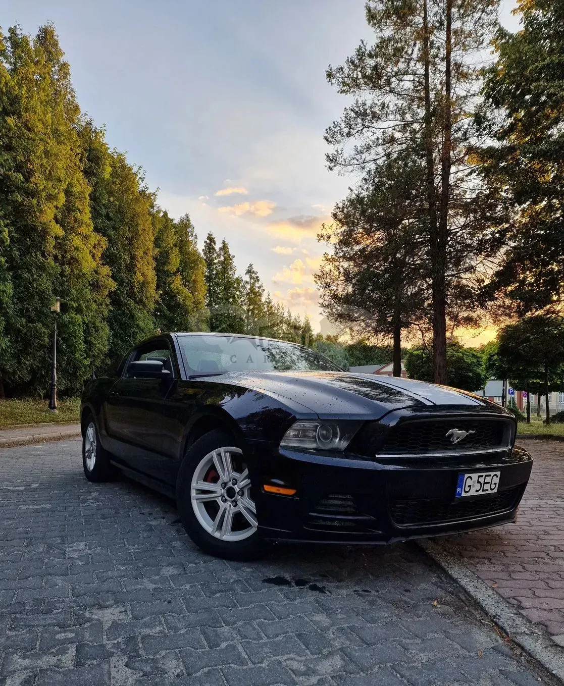 Ford Mustang 3.7 V6 2013