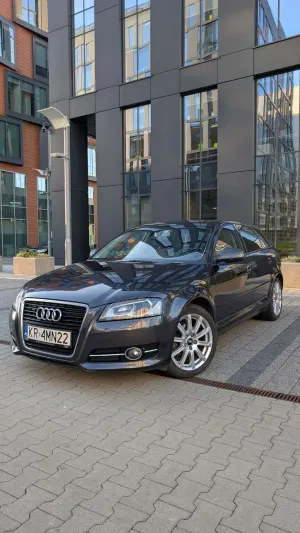 Audi A3 8P (2003-2012) 1.6 TDI Ambition 2012