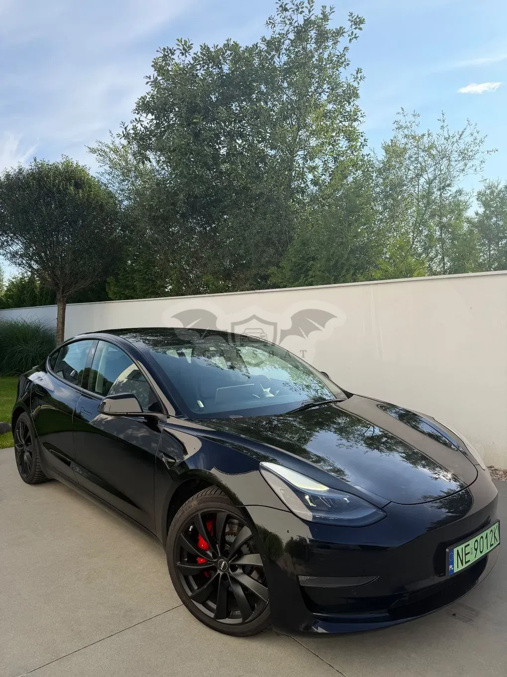 Tesla Model 3 Performance AWD 2021