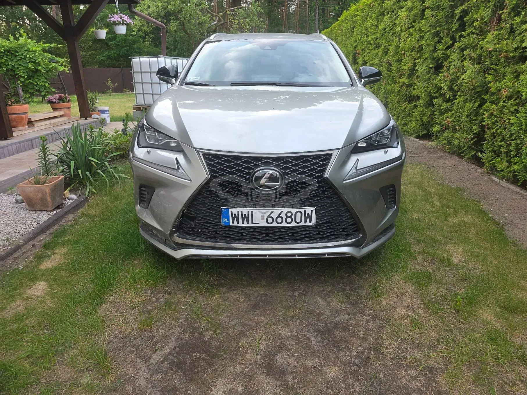 Lexus NX I (2014-2021) 300 Business Edition AWD 2021