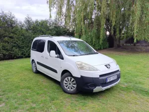 Peugeot Partner II (2008-2019) 2009