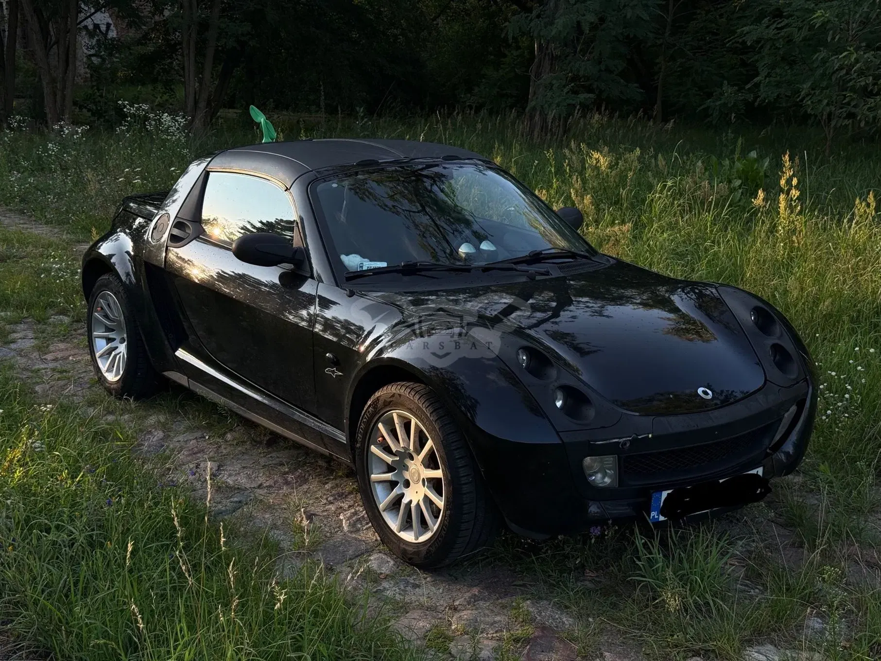 Smart Roadster 2003