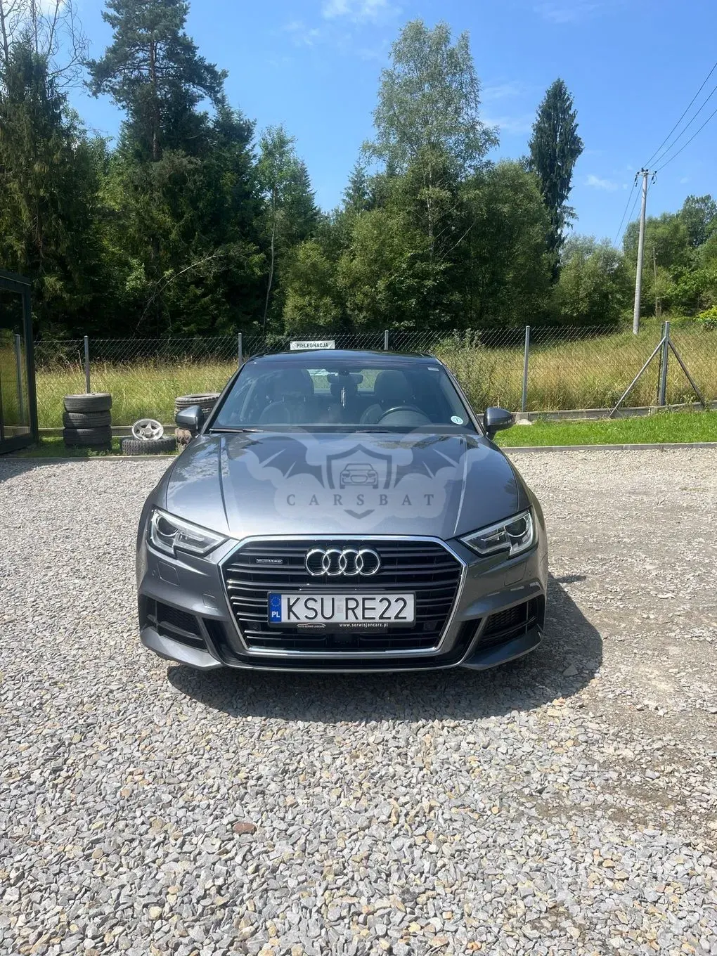 Audi A3 8V (2012-) 2.0 TFSI quattro S tronic design 2017