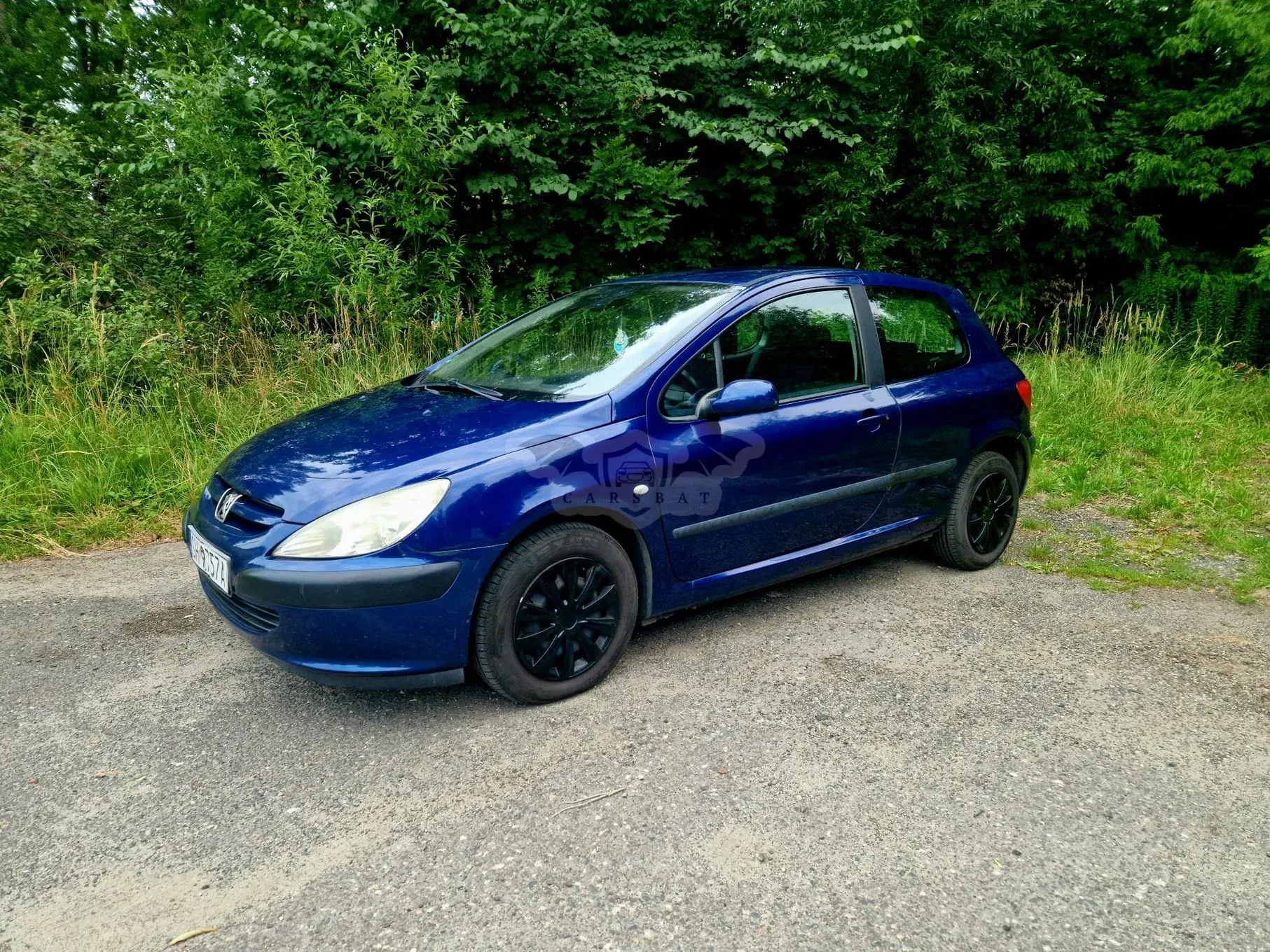 Peugeot 307 I (2001-2005) 2003