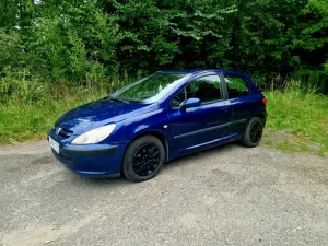 Peugeot 307 I (2001-2005) 2003