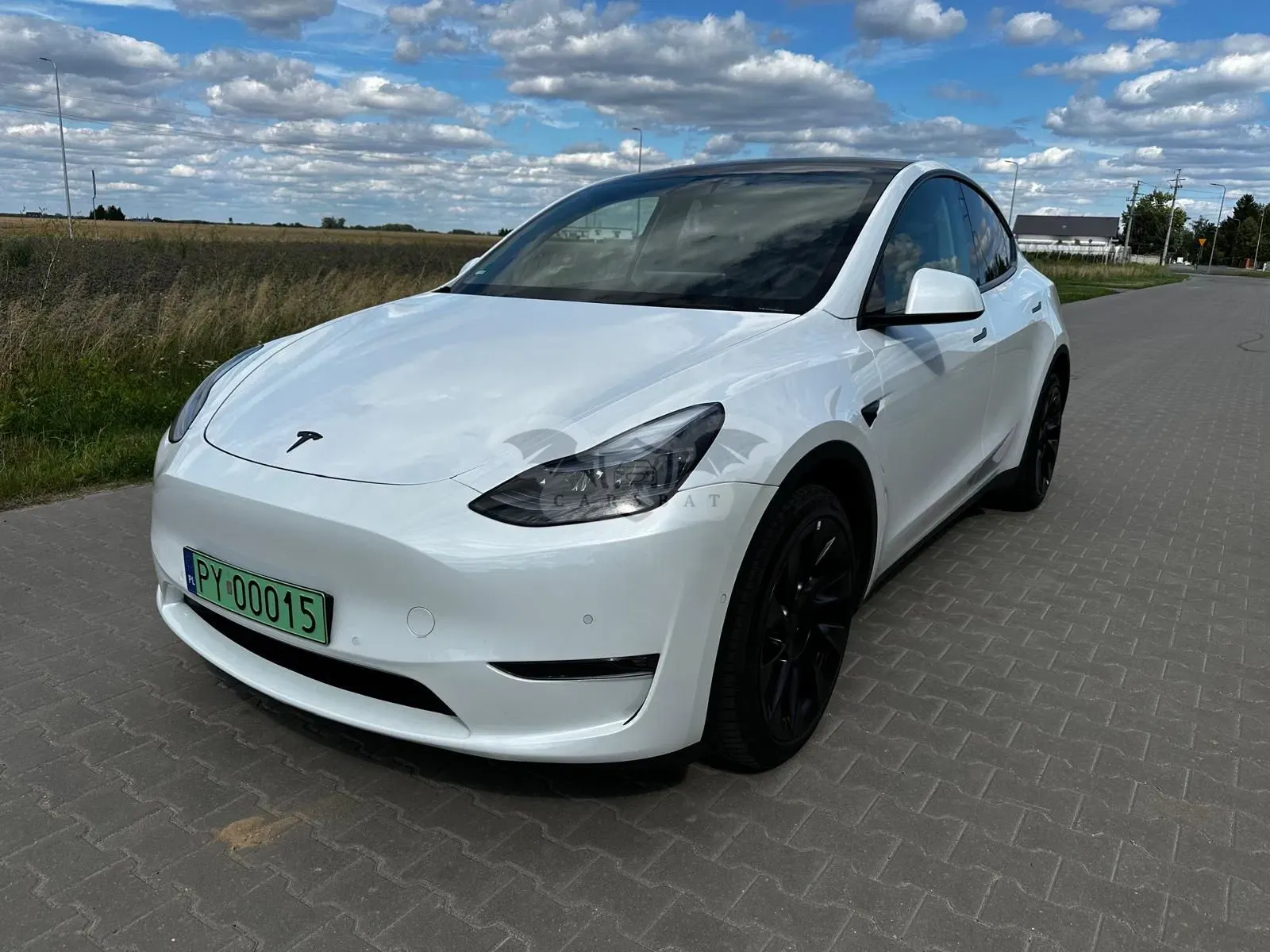 Tesla Model y 2022